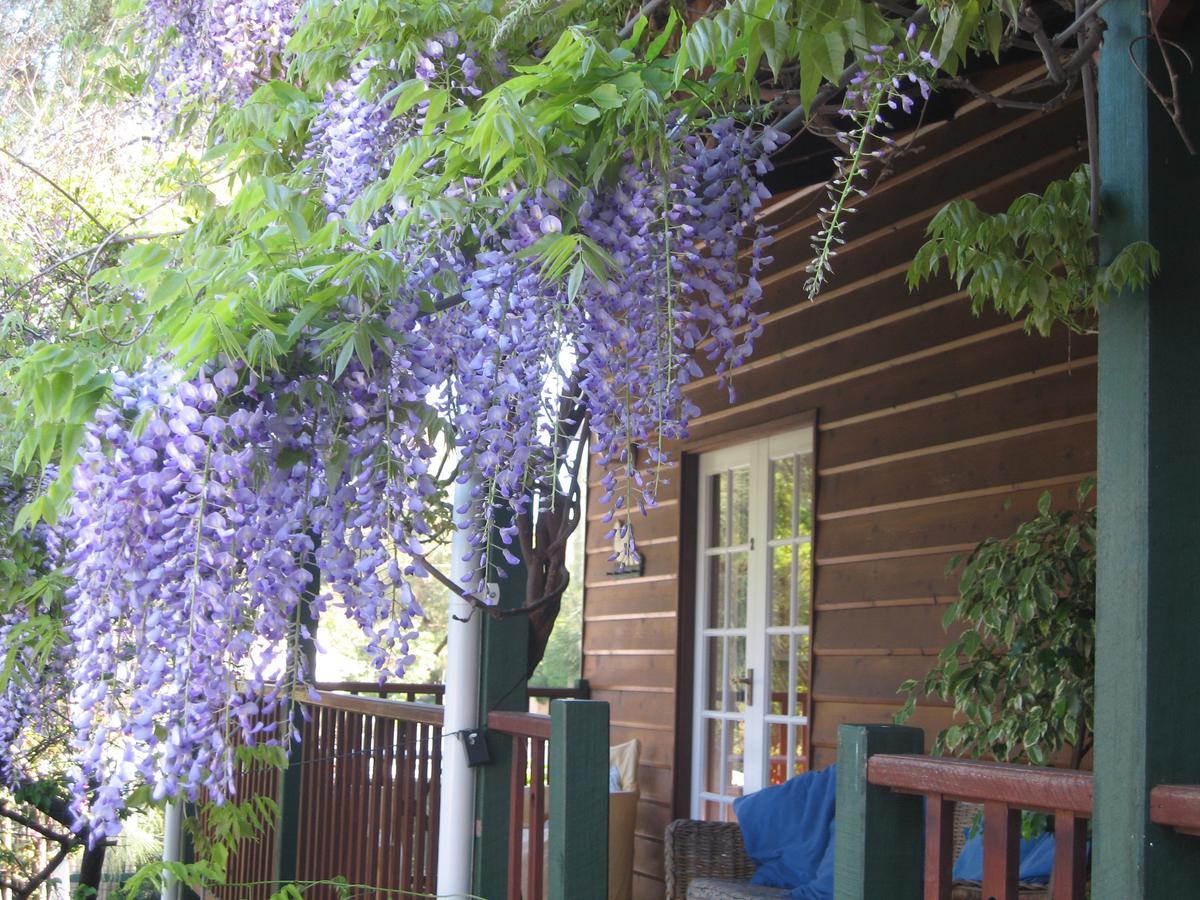 Rosemoore Bed & Breakfast Perth Eksteriør billede